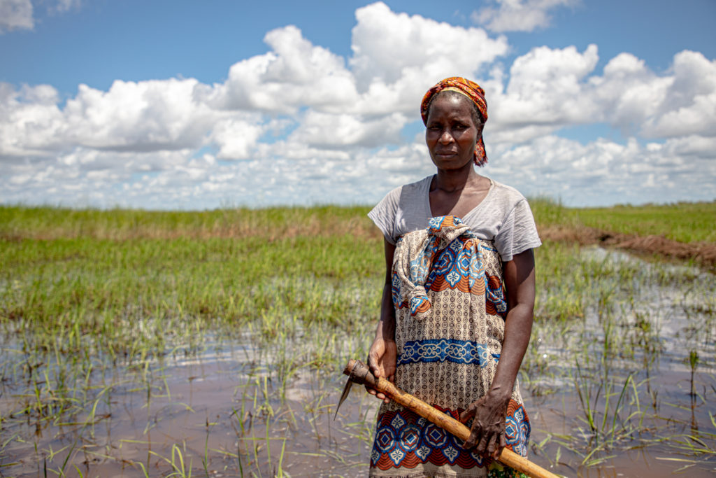 Effetti del land grabbing sui diritti umani e comunità