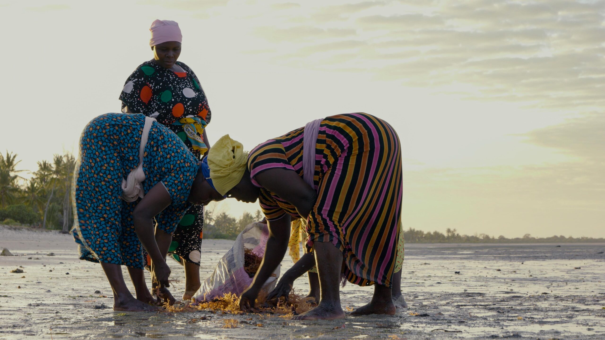 Obiettivo 10 agenda 2030
