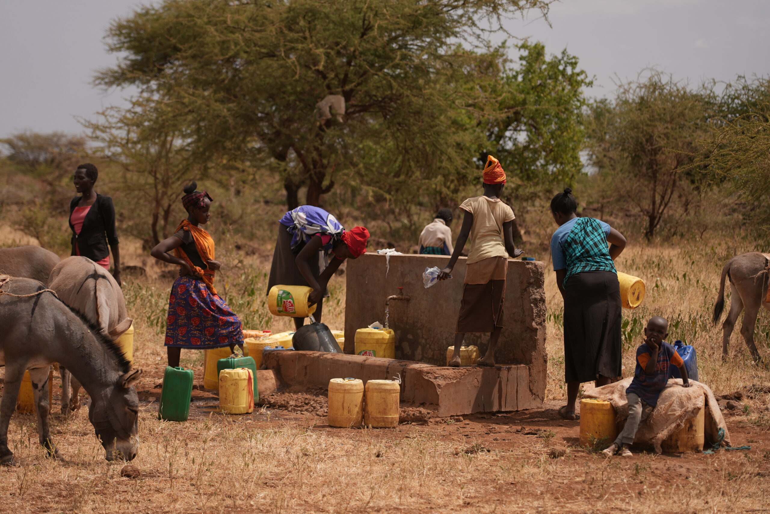Obiettivo 13 agenda 2030